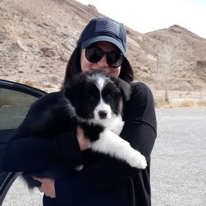 Meet your Posher, Tara